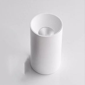 Spot  Plafond GU10 BLANC